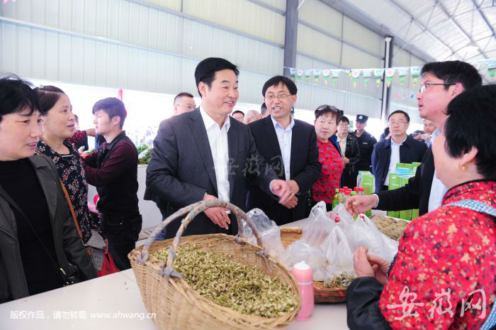 肥西县委书记金成俊（左四）、柿树岗乡党委书记沈家创（左五）参观市集。