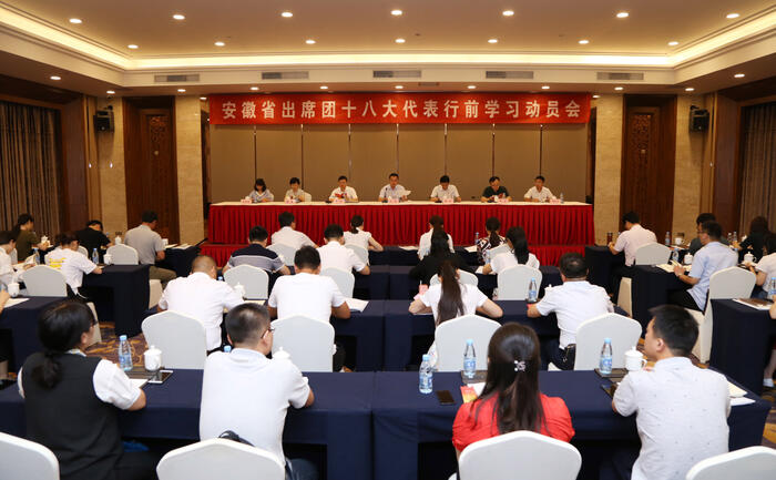 安徽省出席团十八大代表行前动员学习会召开